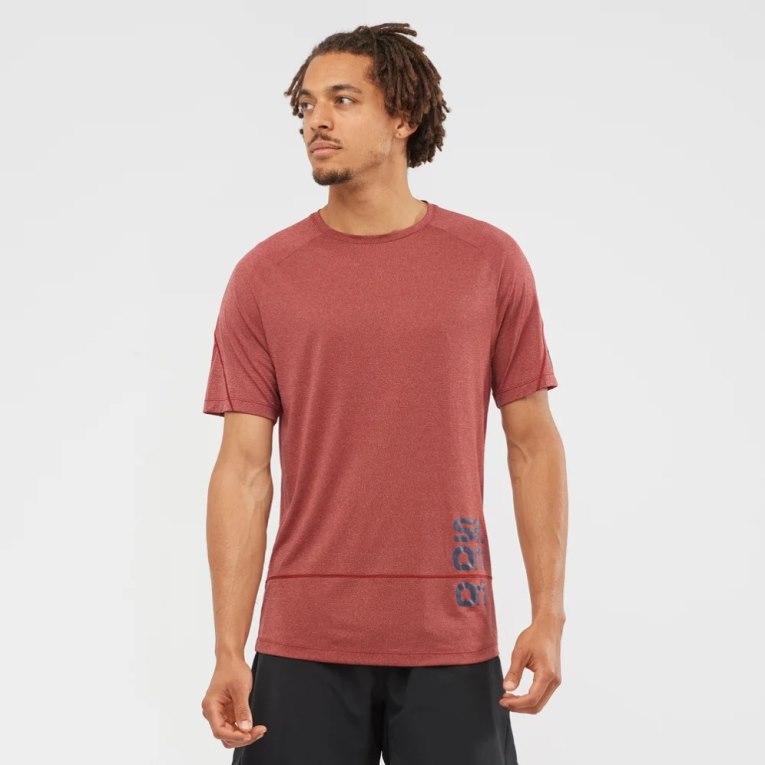 Camiseta Salomon Cross Run Gráficas Curta Sleeve Masculino Vermelhas Escuro | PT H40123